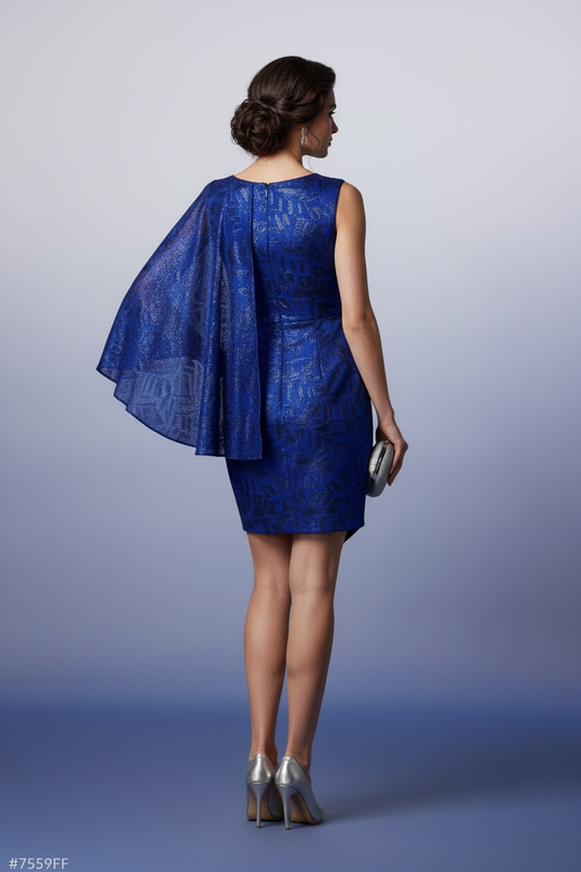 Cocktail Dress Back View