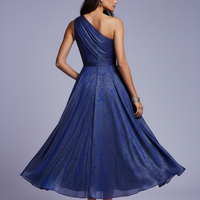 Back View Blue Dress