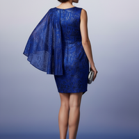 Cocktail Dress Back View