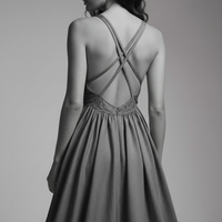 Gray Dress Back View
