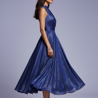 Side View Blue Dress